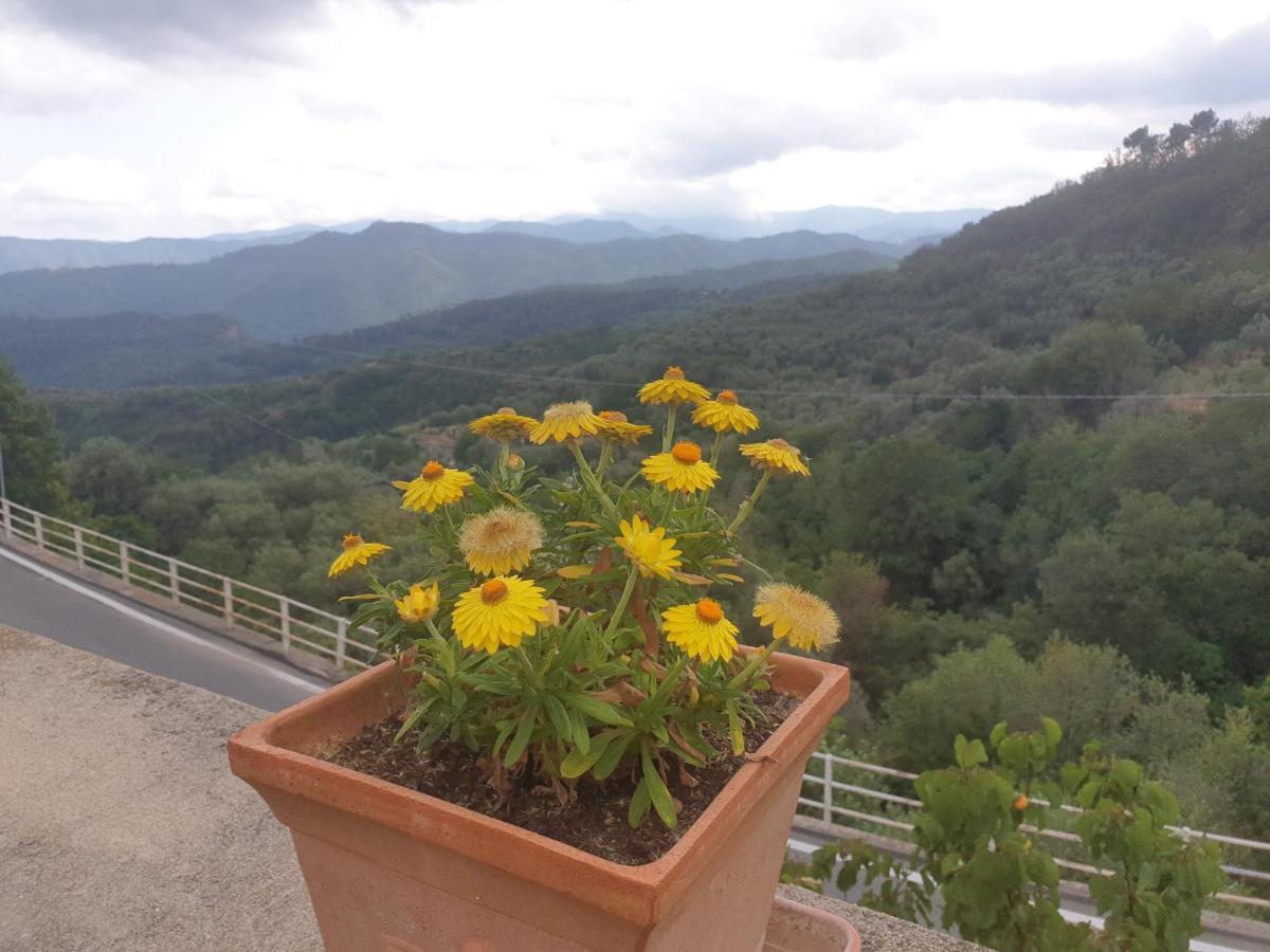 Bed & Breakfast Ca' Di Vissai Arnasco Exterior photo