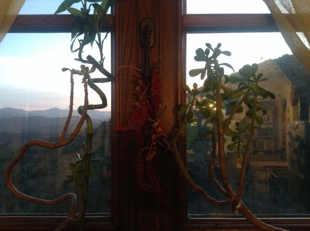 Bed & Breakfast Ca' Di Vissai Arnasco Exterior photo