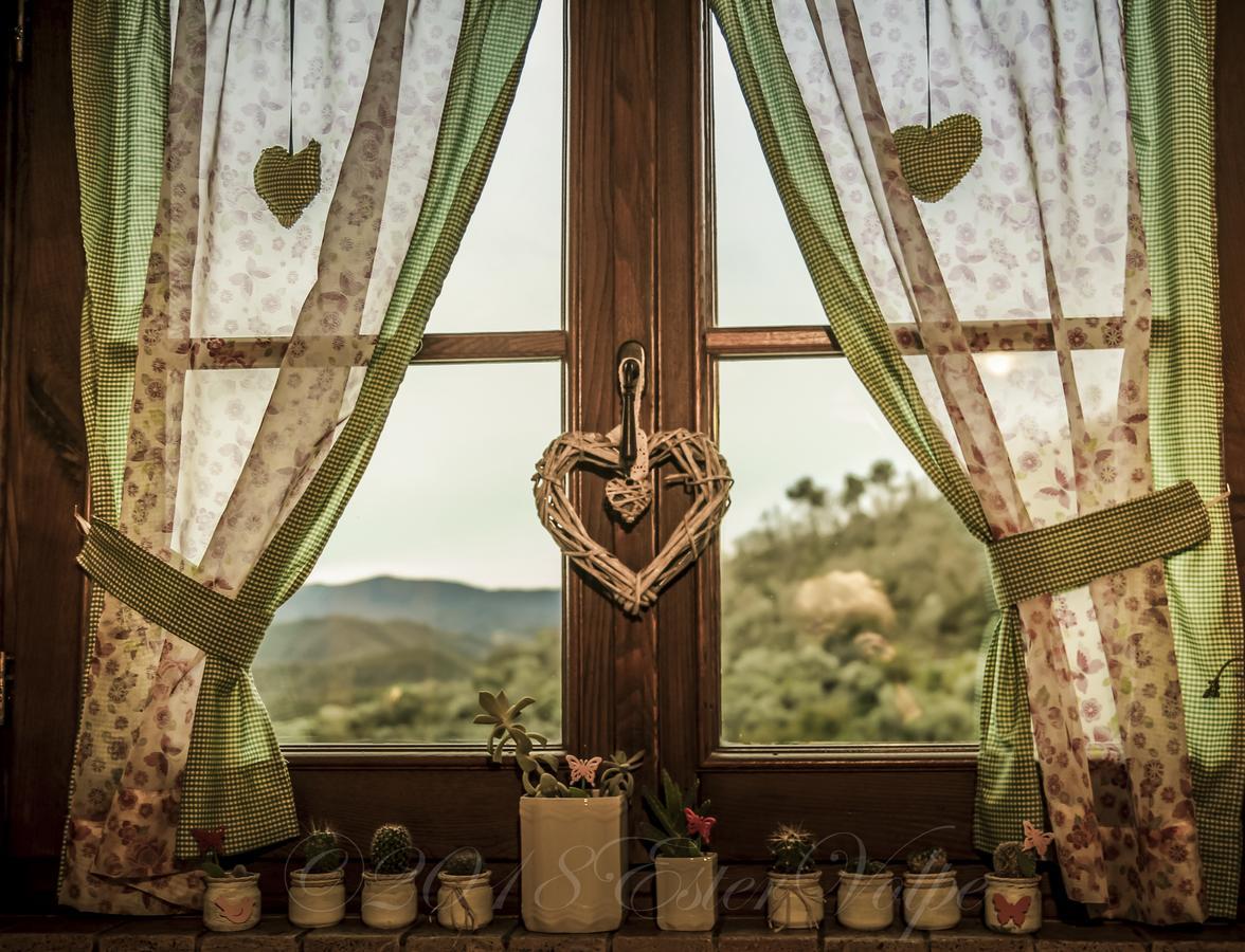 Bed & Breakfast Ca' Di Vissai Arnasco Exterior photo